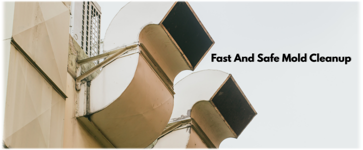 Air Duct Mold Removal in Pomona